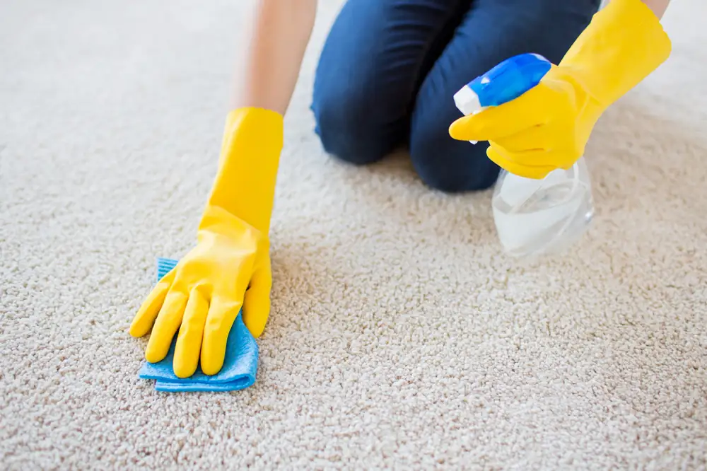 carpet-cleaning-services