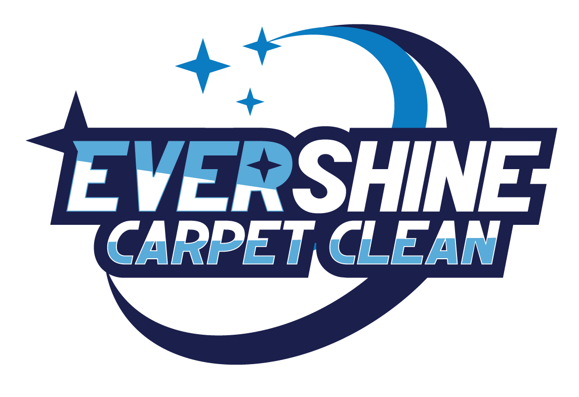 eveshine-carpet-clean-bot